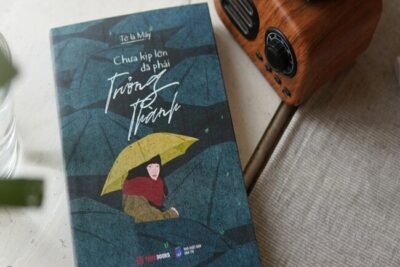 Review sách Chưa Kịp Lớn Đã Phải Trưởng Thành: Khi trưởng thành đến sớm hơn ta mong đợi