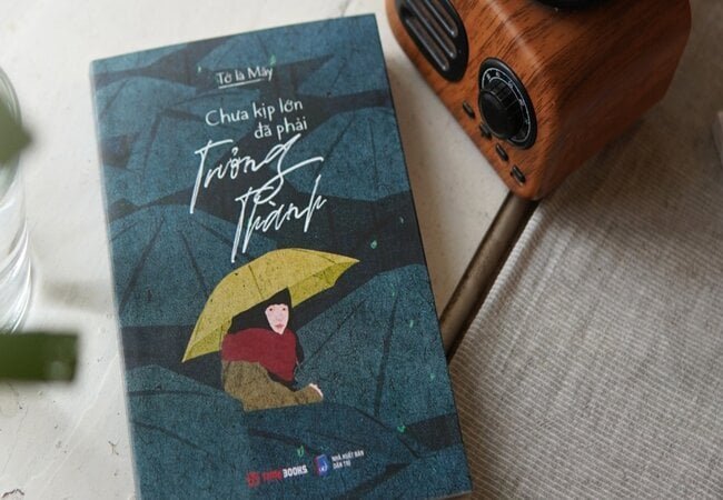 Review sách Chưa Kịp Lớn Đã Phải Trưởng Thành