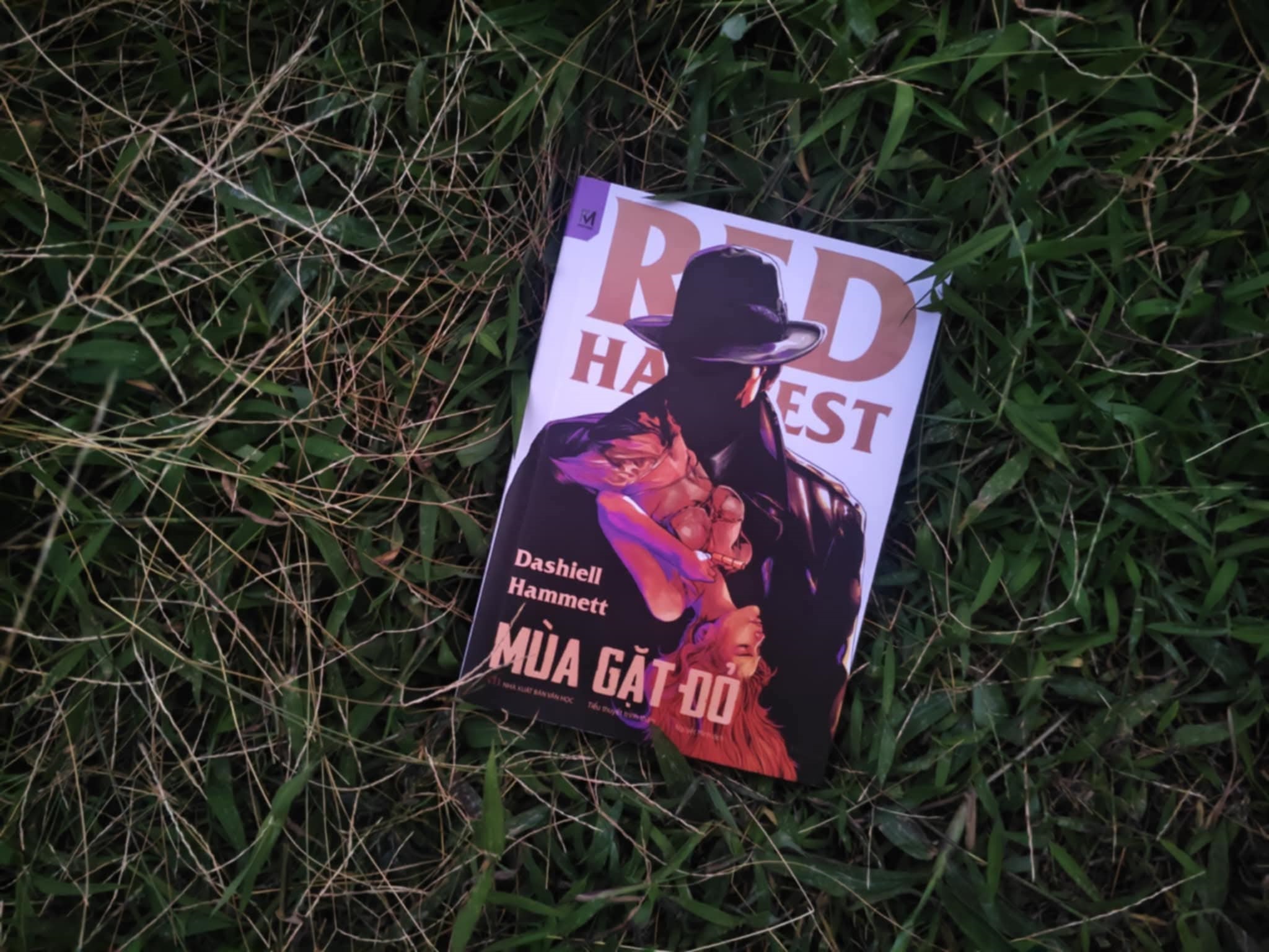 Review sách Mùa gặt đỏ: Kiệt tác trinh thám đen của Dashiell Hammett